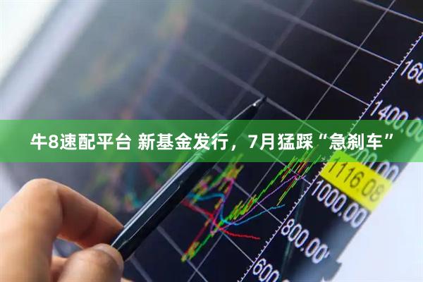 牛8速配平台 新基金发行，7月猛踩“急刹车”