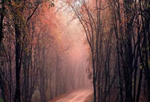 股票杠杆是怎么加的:股票开户哪家手续费便宜-市值蒸发5000亿美元后 特斯拉全面转型！马斯克豪赌机器人：五年内年产100万台